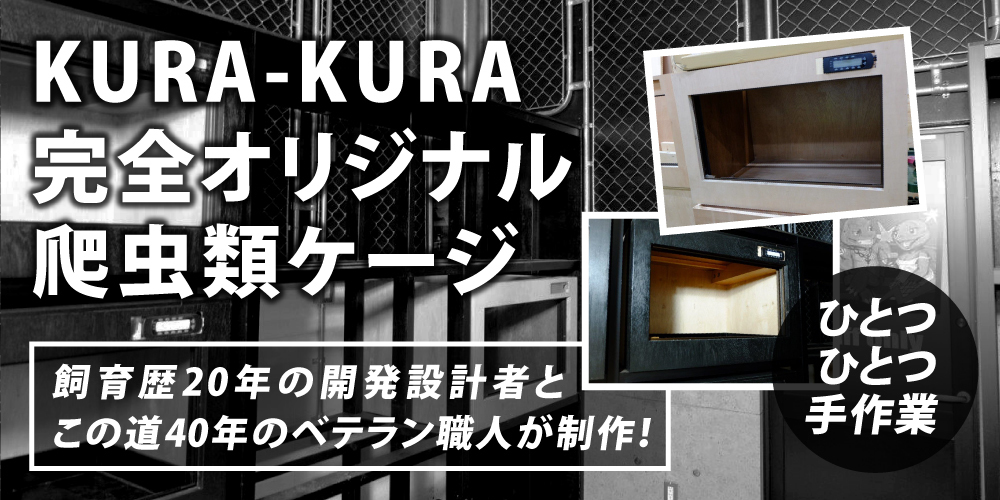 群馬県前橋市のカメ専門店 KURA-KURA～クラクラ～